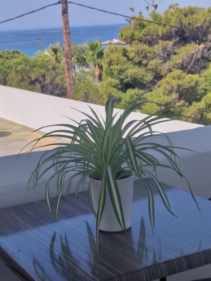 Meltemi Apartment Posidhonia  Bagian luar foto
